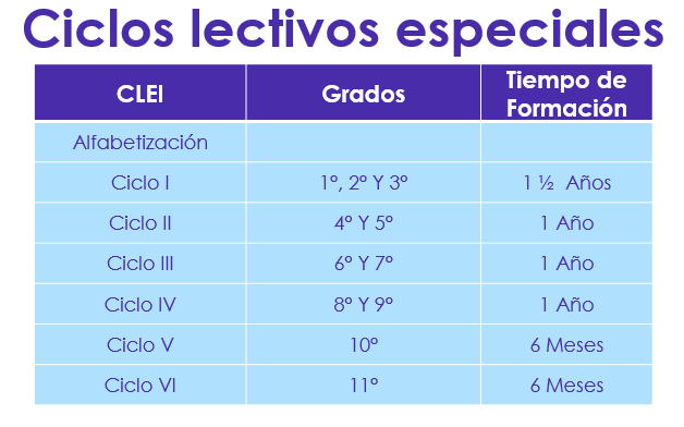 ciclo lectivo