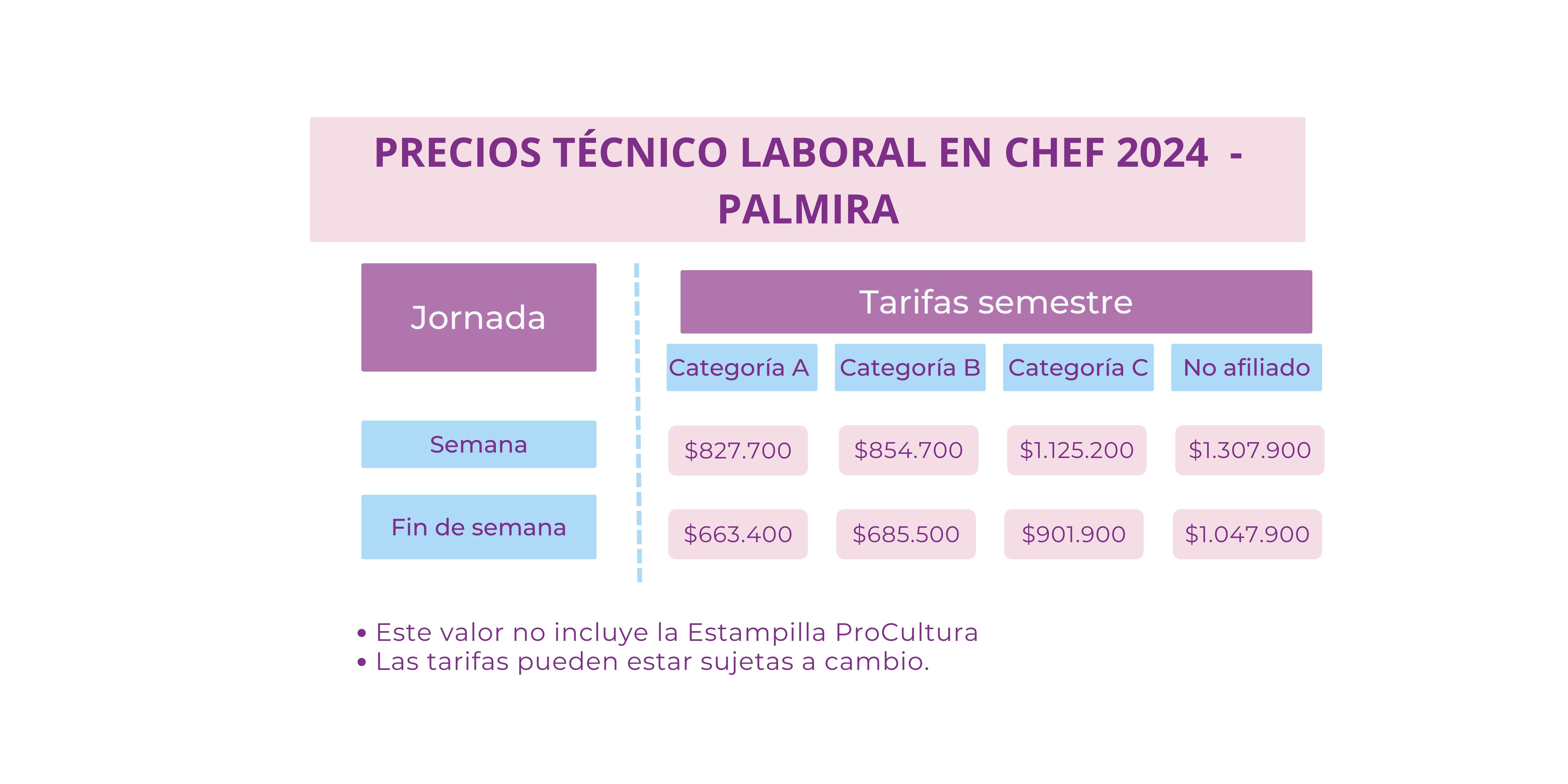 Técnico Laboral Palmira